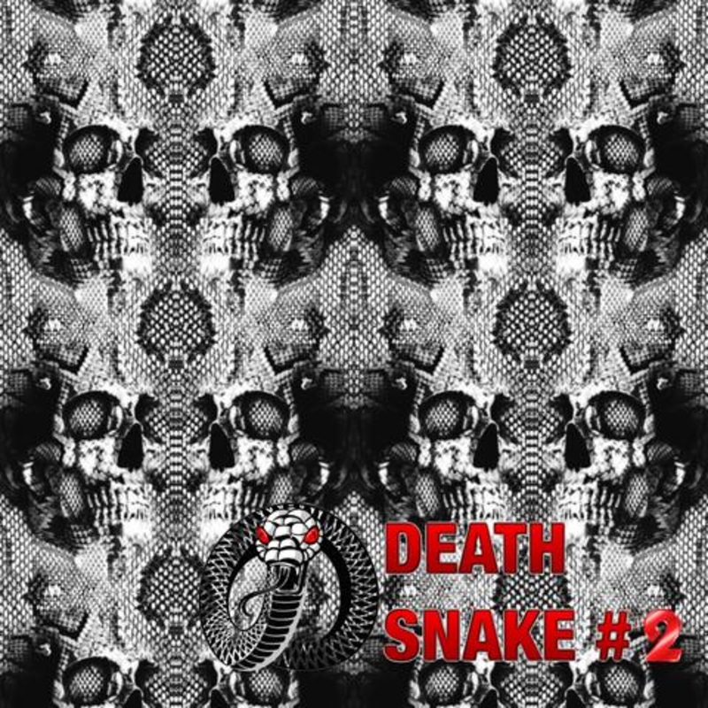 DIP WIZARD HYDROGRAPHIC DIP KIT DEATH SNAKE #2